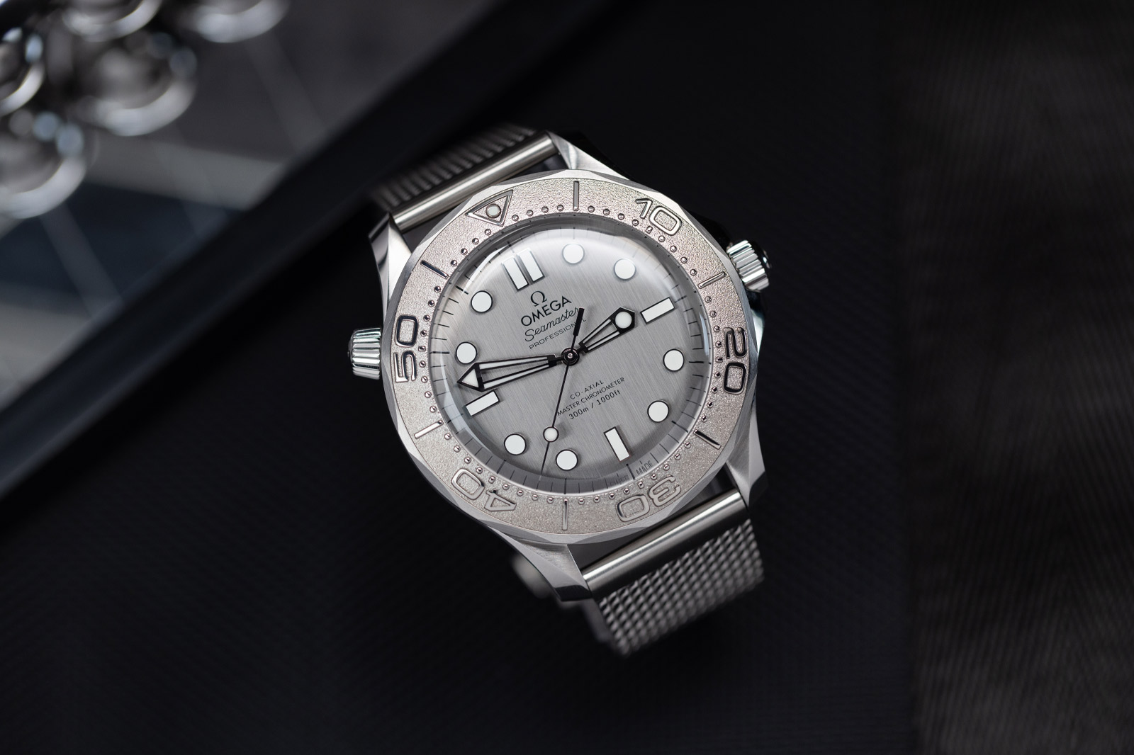 Omega Seamaster Diver 300M Monochrome Watch Review